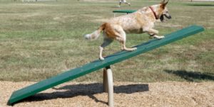 Teeter Totter