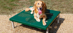 Paws Grooming Table