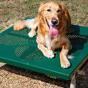 Paws Grooming Table