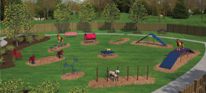 Bark Park Expert Course