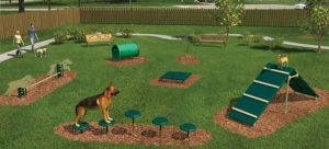 Bark Park Intermediate Course