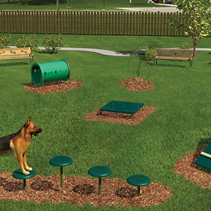 Bark Park Intermediate Course