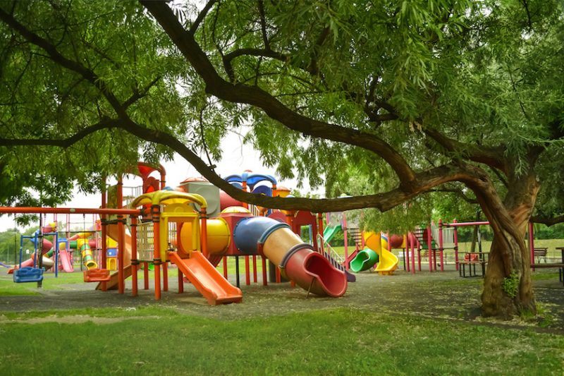 Why Are Playgrounds Important for Physical Development?