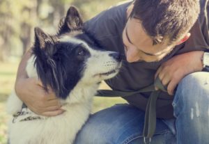 Remember This before Taking Your Dog to the Park